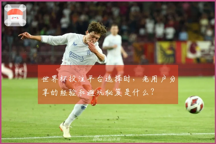 世界杯投注平台选择时，老用户分享的经验和避坑秘笈是什么？