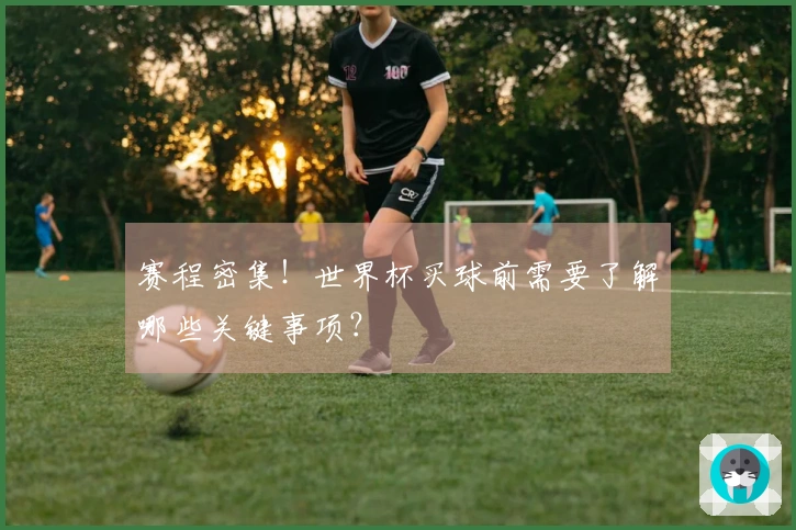 赛程密集！世界杯买球前需要了解哪些关键事项？